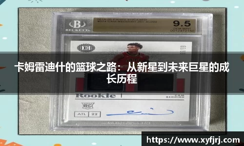 三亿体育APP